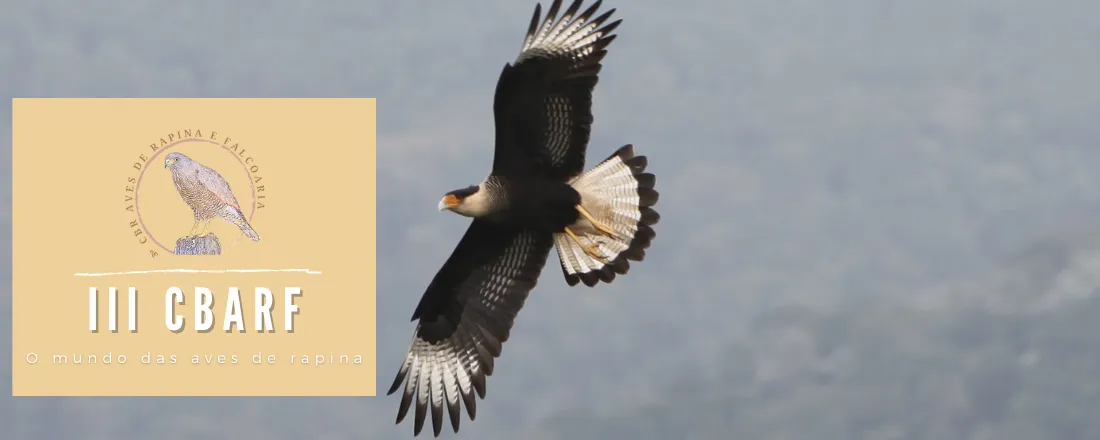 Congresso Brasileiro de Aves de Rapina e Falcoaria