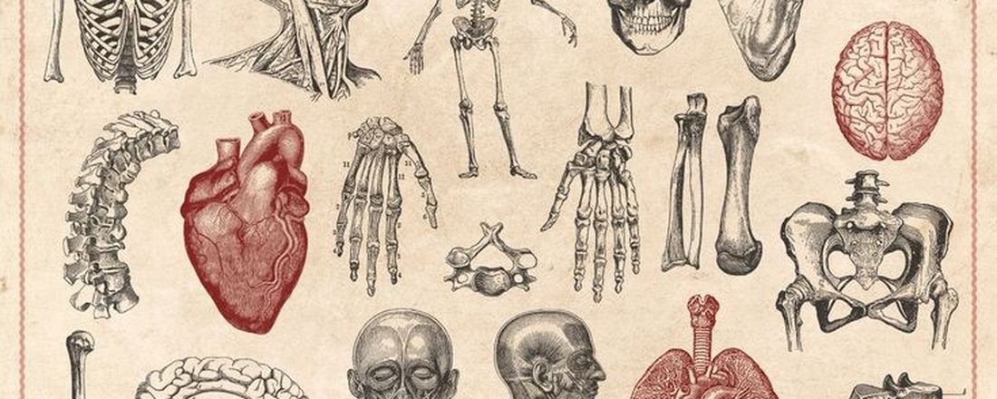 Jornada Acadêmica de Anatomia da FASEH