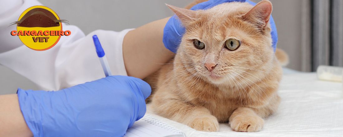 TREINAMENTO MÉDICO EM ANESTESIOLOGIA VETERINÁRIA