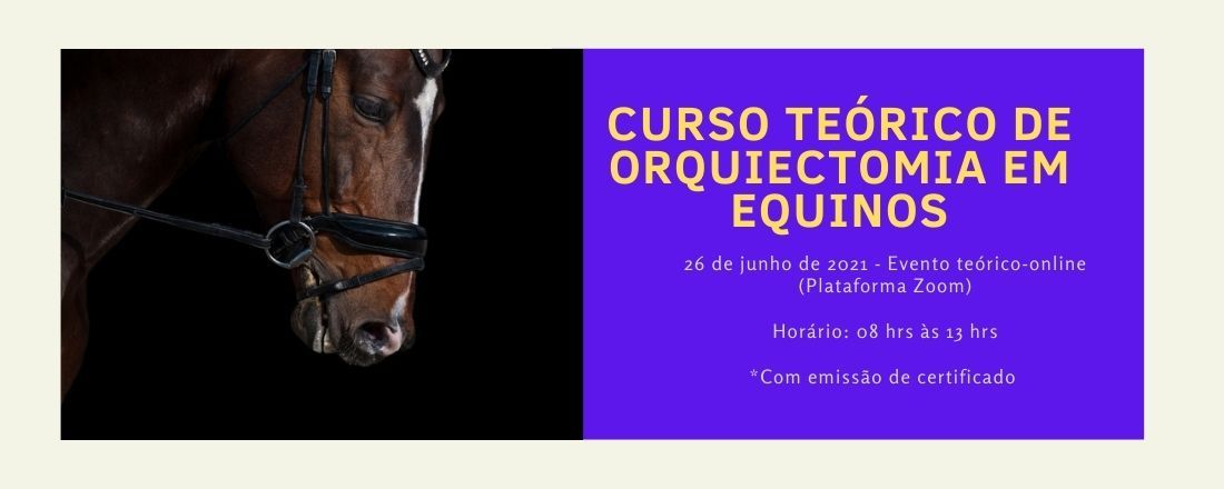 Curso Teórico-Online de Orquiectomia em Equinos