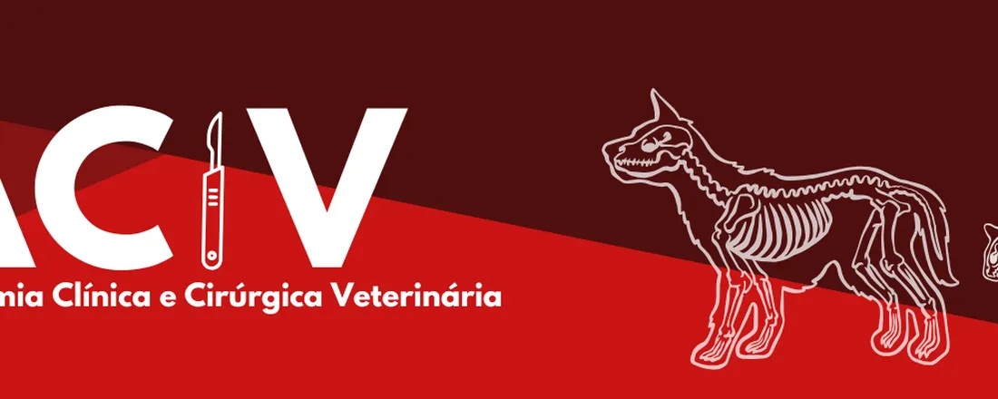 Fases Fundamentais da Técnica Cirúrgica: Diérese, Hemostasia e Síntese