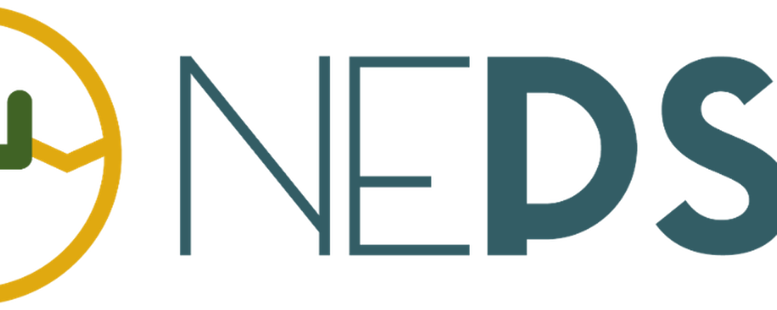 10ª Webinar NEPST - Edição especial