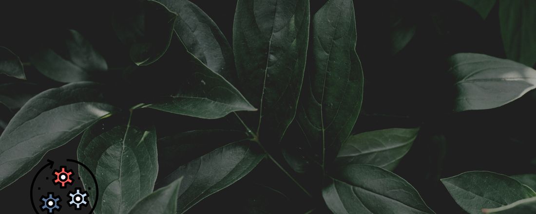I Workshop da Engenharia Sanitária e Ambiental