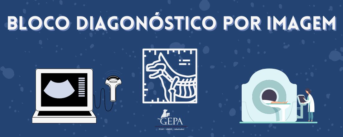 Bloco diagnóstico por imagem