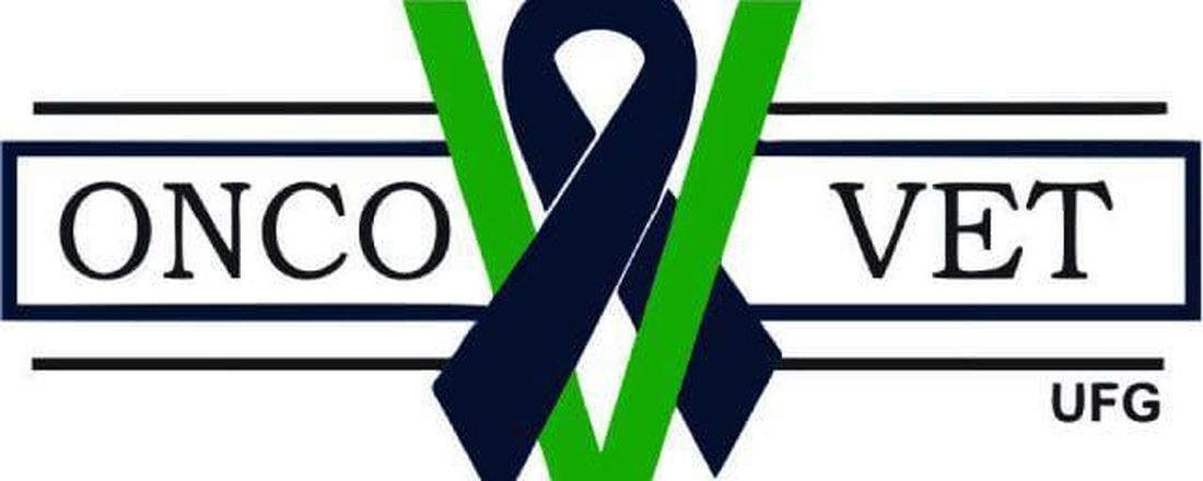 Hemangiossarcoma canino
