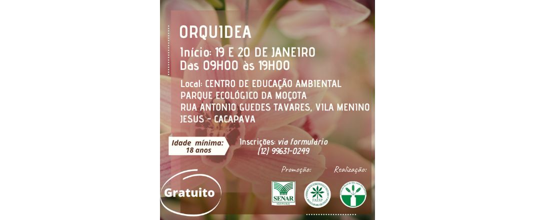 ORQUÍDEA