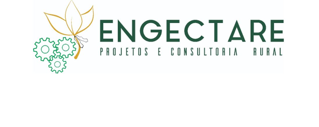 Segundo Processo Seletivo Engectare 2019