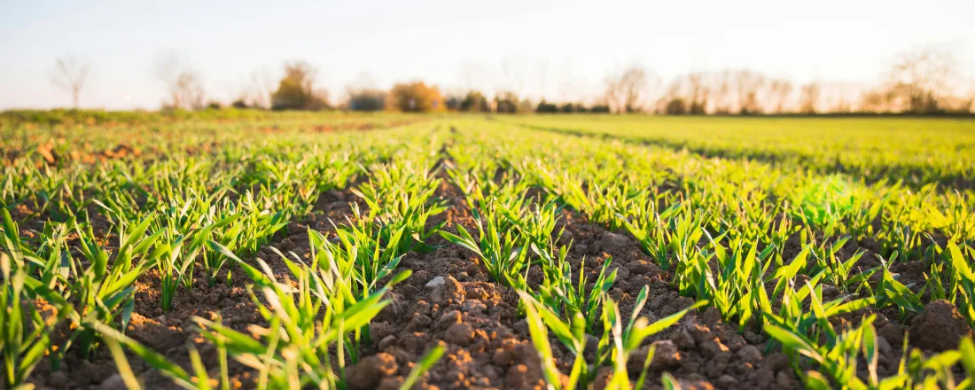 XXI Semana de Ciências Agrárias, XII Jornada de Pesquisa e Pós-Graduação em Produção Vegetal, X Conferência de Genética e Citogenética Vegetal e IV Workshop de Bioinsumos em Produção Vegetal