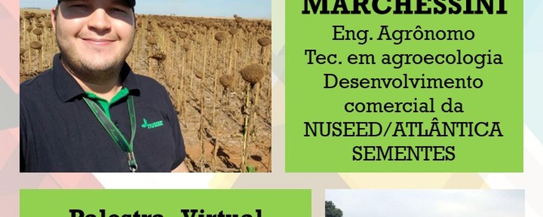 PALESTRA VIRTUAL: CULTURA DO GIRASSOL - DO PLANTIO À COLHEITA