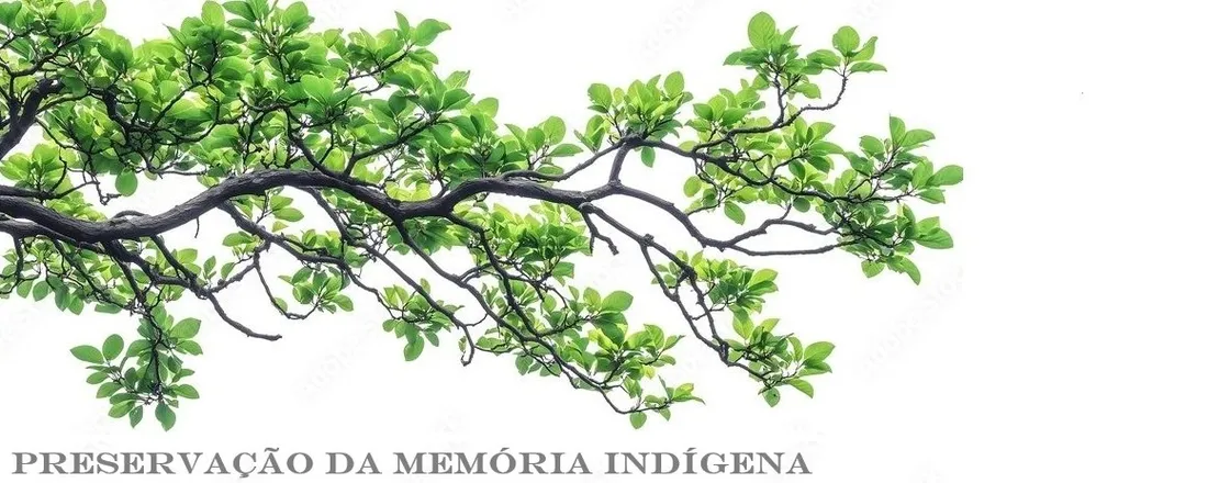 Preservação Digital e o Yãkoana – Tesauro dos Bens Culturais do Amazonas