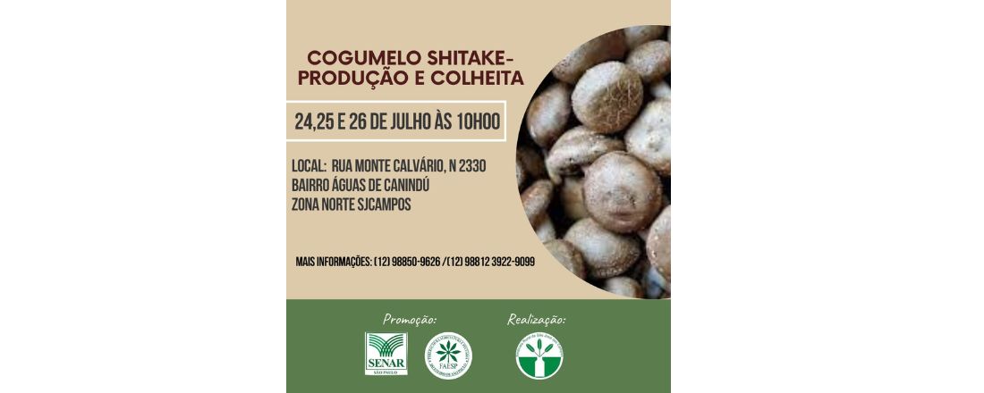 COGUMELO SHIMEJI – PRODUÇÃO E COLHEITA