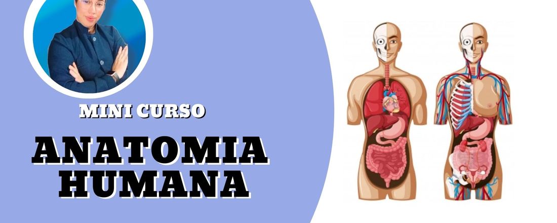 MINI CURSO - RESUMÃO DE ANATOMIA