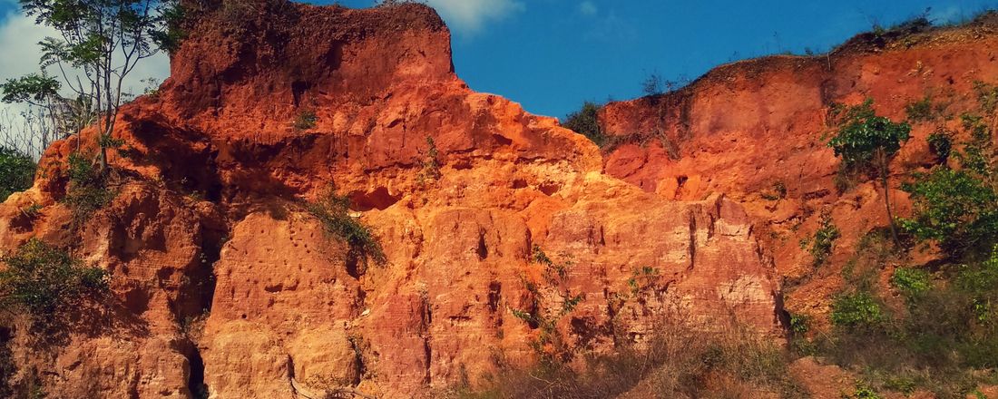 SOLOS: FORMAÇÃO E DEGRADAÇÃO SOB A PERSPECTIVA GEOGRÁFICA