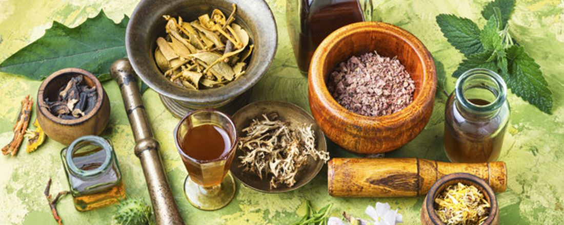Workshop Plantas Medicinais