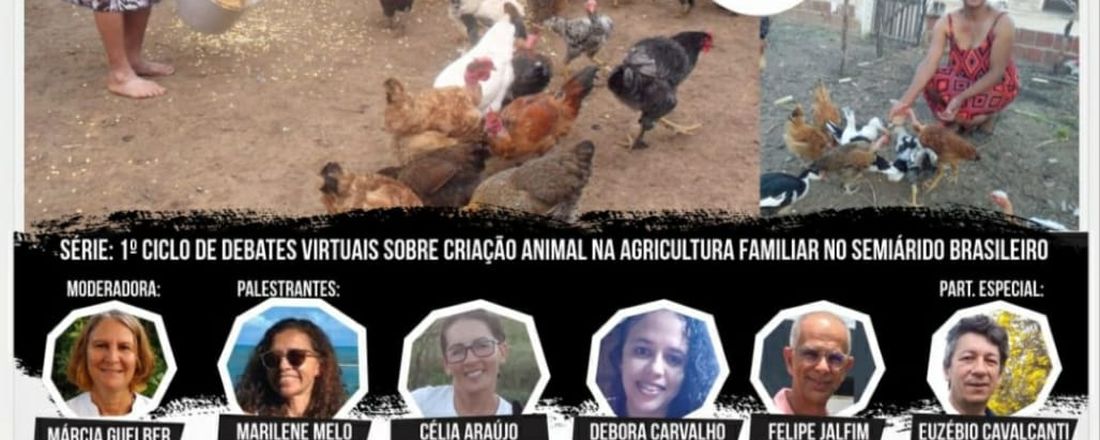 CONSERVAÇÃO DAS RAÇAS CRIOULAS DAS GALINHAS NA AGRICULTURA FAMILIAR AGROECOLÓGICA: O PAPEL DAS AGRICULTORAS GUARDIÃS E DA PESQUISA.