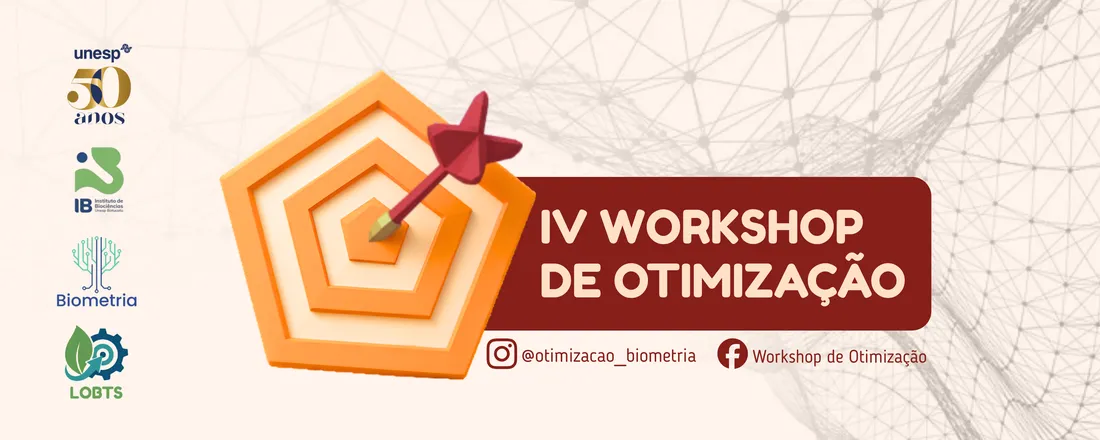 IV Workshop de Otimização