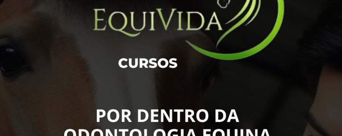 Curso Odontologia Equina - Equivida Cursos
