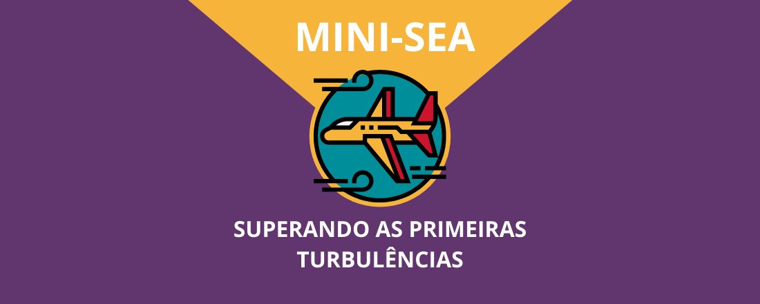 Mini SEA: Superando as Primeiras Turbulências