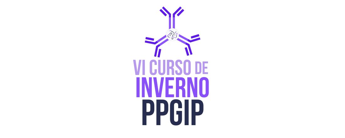 VI Curso de Inverno PPGIP