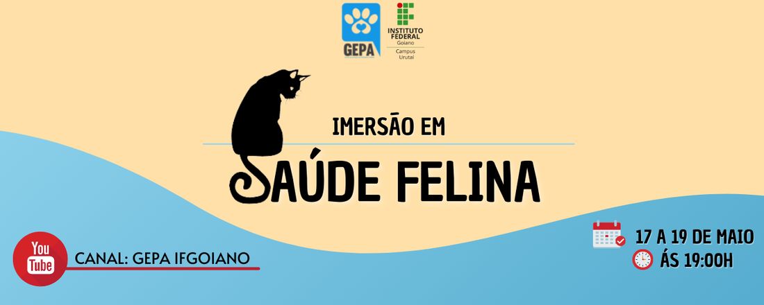 Imersão em Saúde Felina