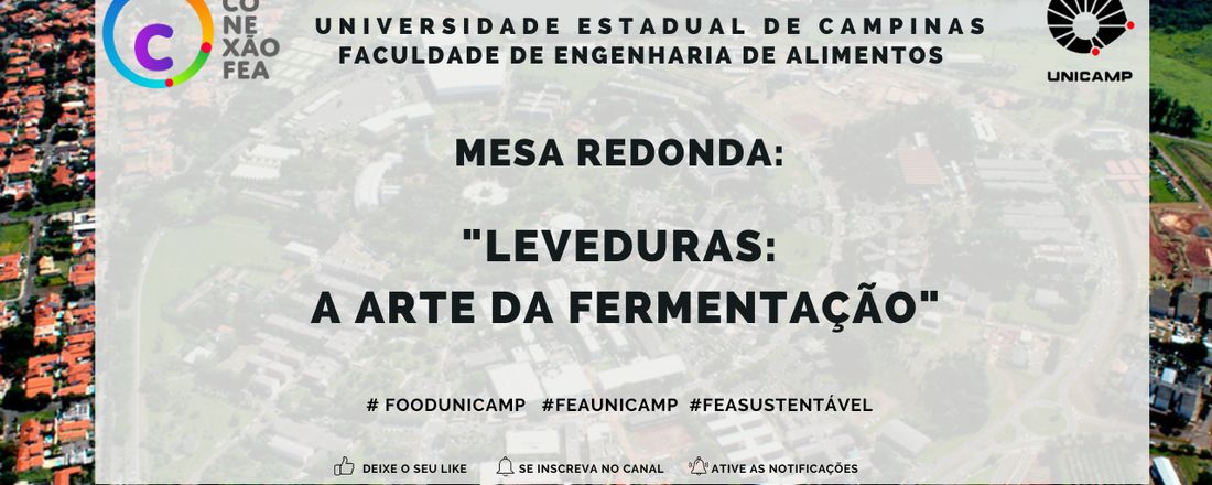 Conexão FEA: "Leveduras:  A arte da Fermentação"