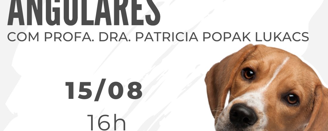 Palestra Deformidades Angulares