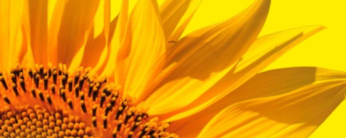 Setembro Amarelo
