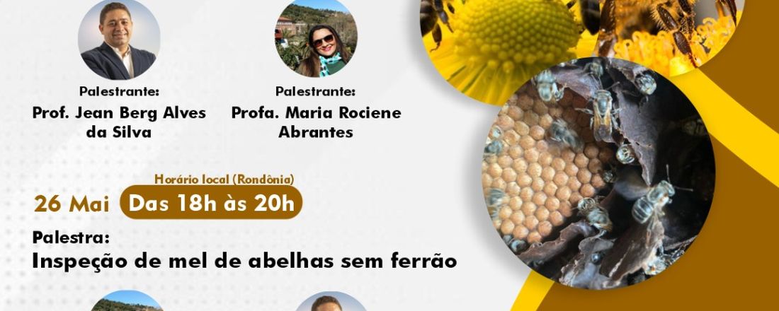 I CAPACITESIM ONLINE - SEGUNDA RODADA