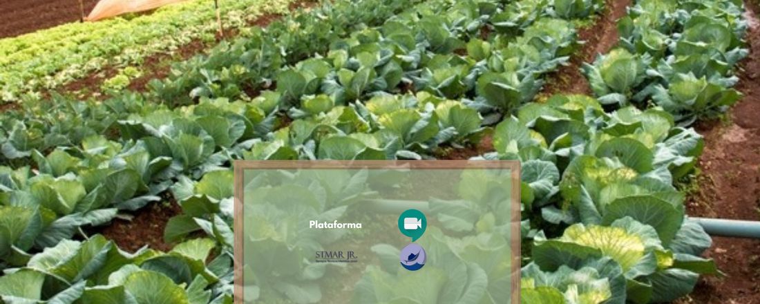 Workshop Online - Agroecologia: Desenvolvendo o Cultivo Sustentável