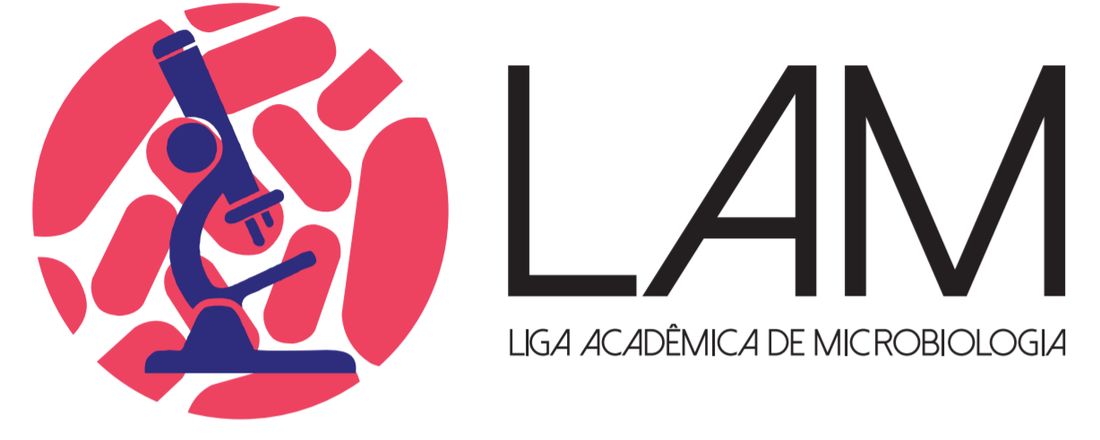 CURRÍCULO LATTES: ADICIONANDO INFORMAÇÕES CORRETAMENTE