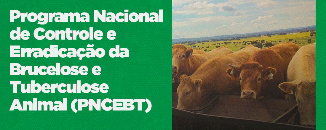 Programa Nacional de Controle e Erradicação da Brucelose e Tuberculose Animal - PNCEBT