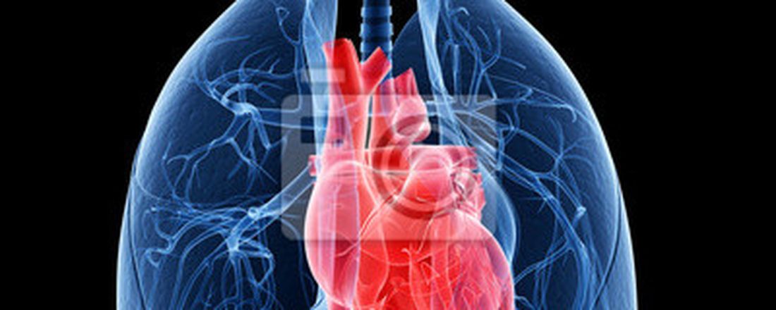 Anatomia dos Sistemas Cardiovascular e Respiratório