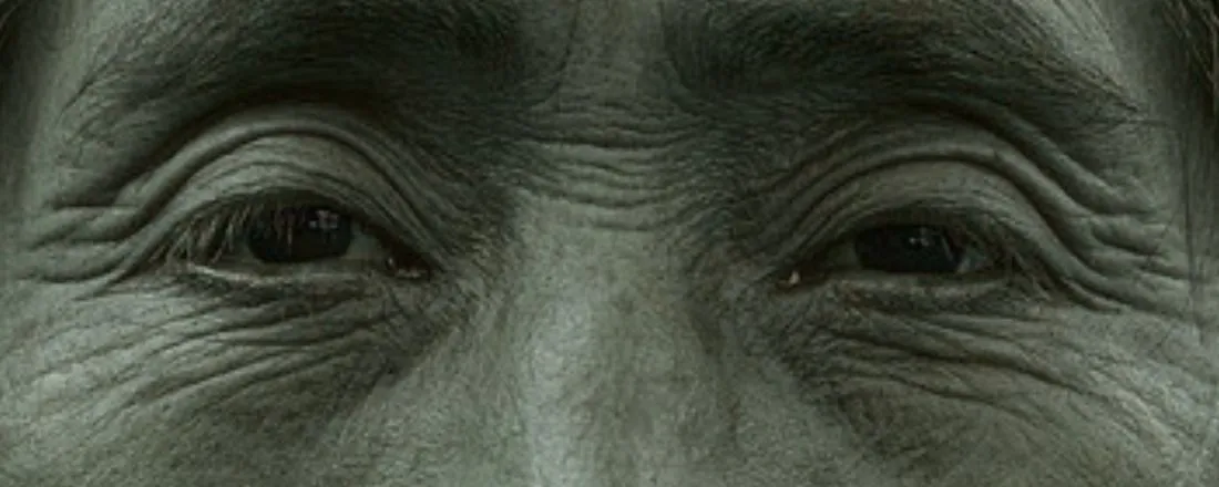 II Seminário JSDLE – Justiça Socioambiental, Diversidade Linguística e Educação