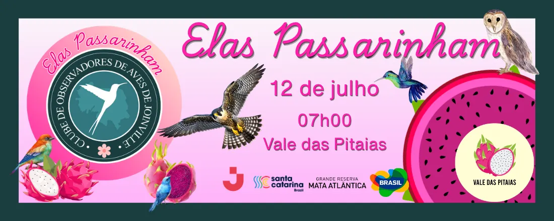 Elas Passarinham