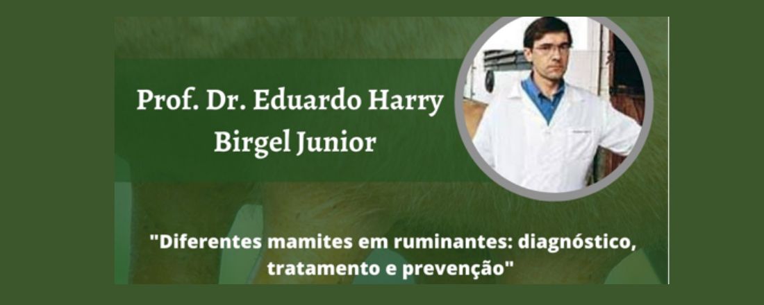 Diferentes mamites em ruminantes: diagnóstico, tratamento e prevenção