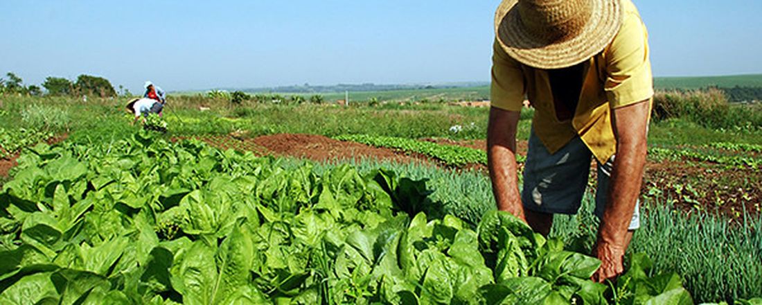 Mesa Redonda: Agroecologia e Gastronomia