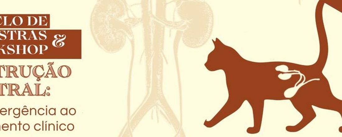 Obstrução Uretral Felina - Da Emergência ao Tratamento Clínico