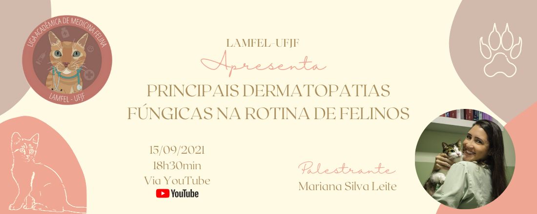 Principais dermatopatias fúngicas na rotina de felinos