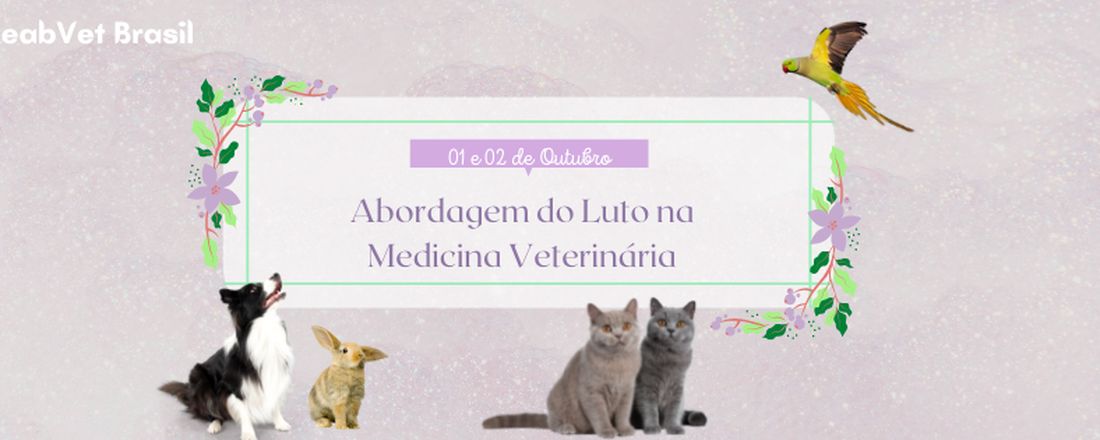 Abordagem do Luto na Medicina Veterinária