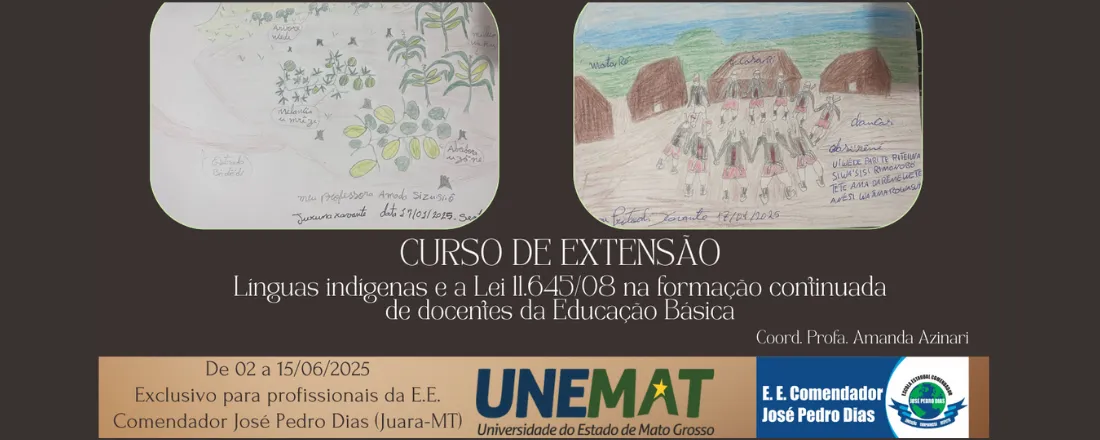 Línguas indígenas e a Lei 11.645/08 na formação continuada de docentes da Educação Básica