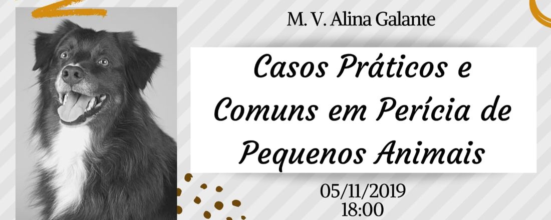 Casos Práticos e Comuns em Perícia de Pequenos Animais