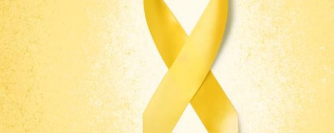 Capacitação Setembro Amarelo