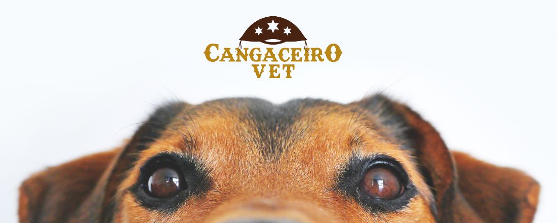 HIPER COMBO 17H SAÚDE ONCOLÓGICA VETERINÁRIA