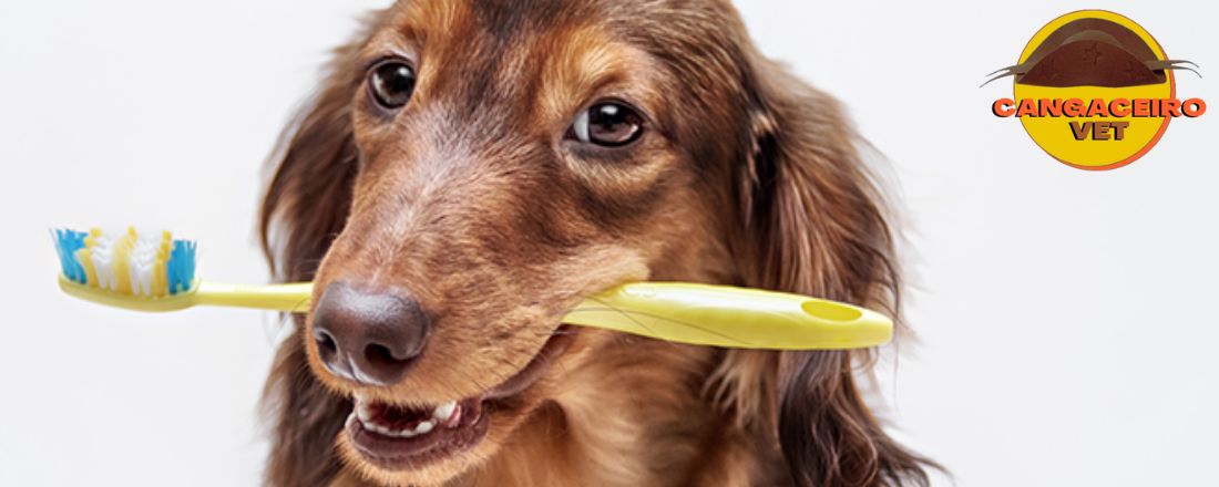 TREINAMENTO EM ODONTOLOGIA VETERINÁRIA