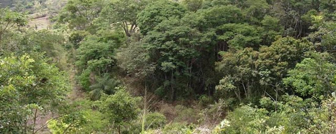 PALESTRA - Zoneamento ambiental e serviços ecossistêmicos em áreas protegidas: o caso do Parque Estadual Mata do Pau-Ferro - Areia/PB