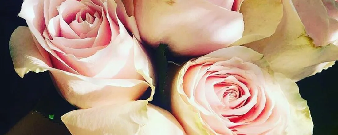 O que é Sanación com Rosas