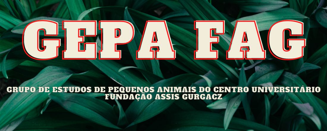 Os limites do médico veterinário frente ao marketing - GEPA FAG