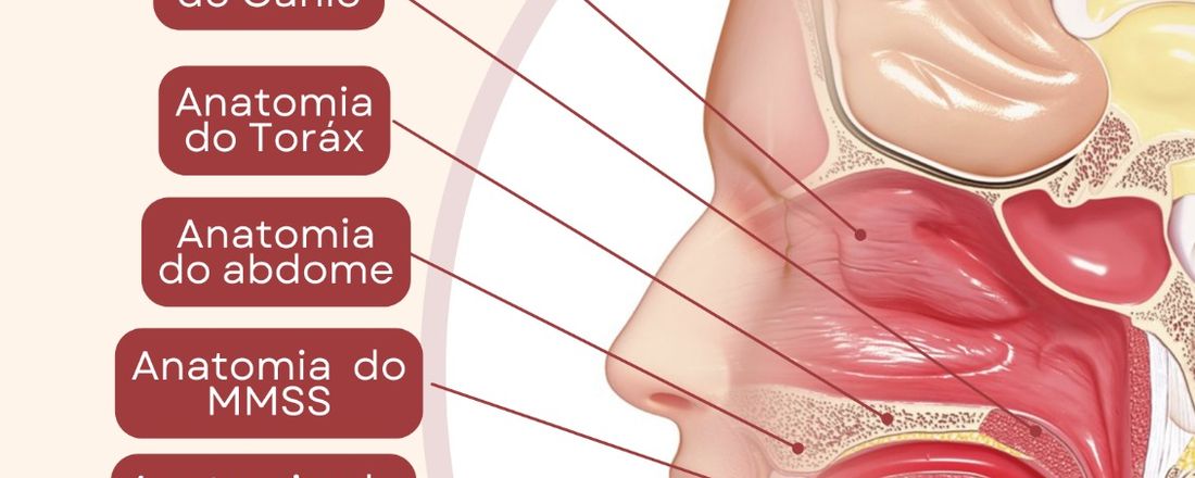 Curso Capacitação em Imagenologia TURMA EAD Feira de Santana