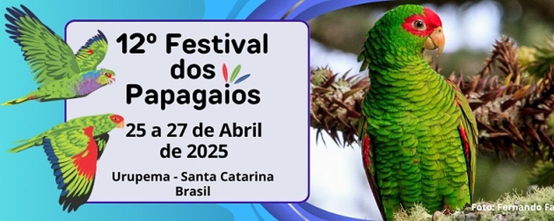 12º Festival dos Papagaios