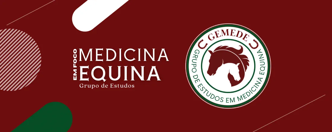 Medicina Equina em Foco
